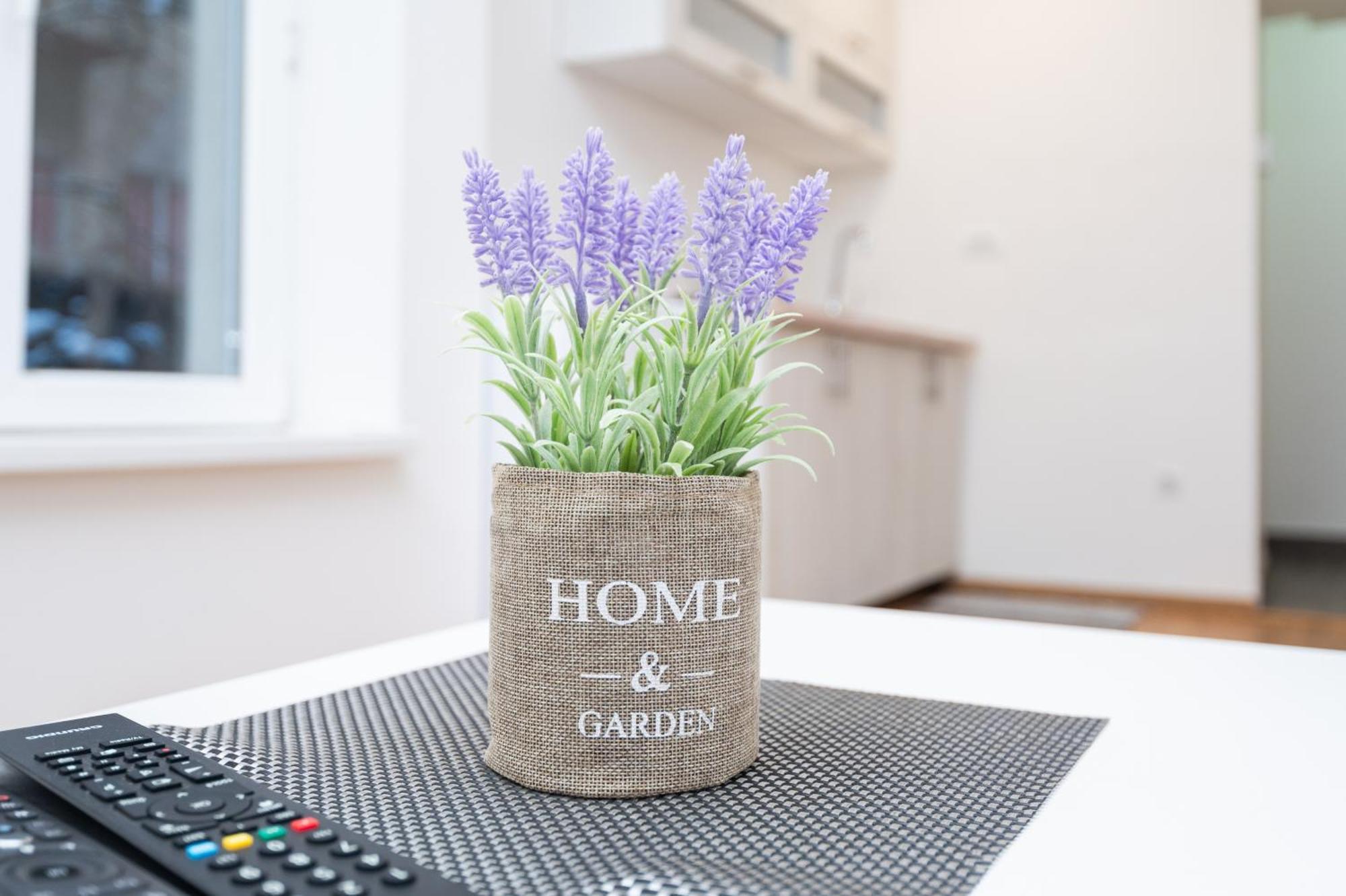 Downtown Cozy Appartement *